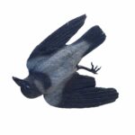 Dead Crow Decoy